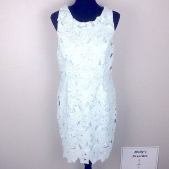 Astr Dresses & Skirts - ASTR Sleeveless Lace Dress Sheath Round Neck Pastel Green L